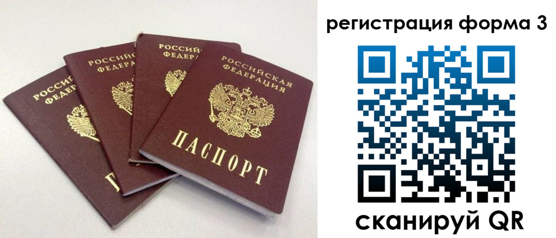 прописка 2025 в Лодейном Поле